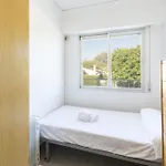 Cotton Apartment Playa